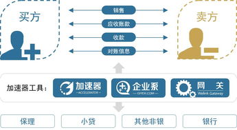 系统确权在供应链金融中的应用