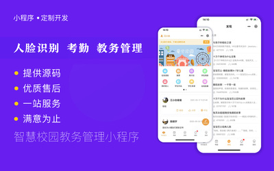 网站定制开发