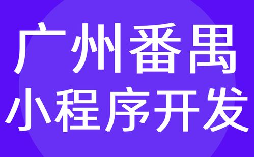 广州番禺区系统开发 微信小程序制作定制 外包 红匣子科技