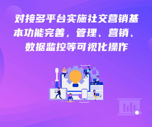 新闻中心 湖南麦桃科技