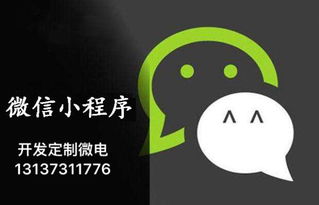 专业小程序多用户商城定制开发价格 专业小程序多用户商城定制开发型号规格