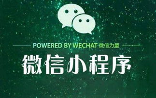 小程序定制开发的未来趋势与机遇